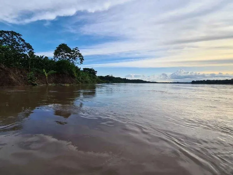 amazonas, eine erstaunliche naturkraft