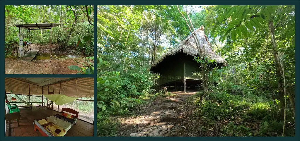 natürliche und sichere Umgebung in Home of Ayahuasca