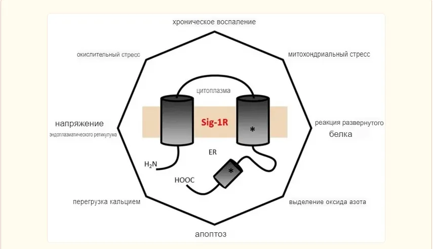 полигон разрушительных сил - факторы развития болезней цивилизации. Источник: https://www.ncbi.nlm.nih.gov/pmc/articles/PMC4773875/